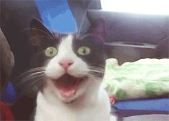 SmilingCat_zps894e42aa.gif
