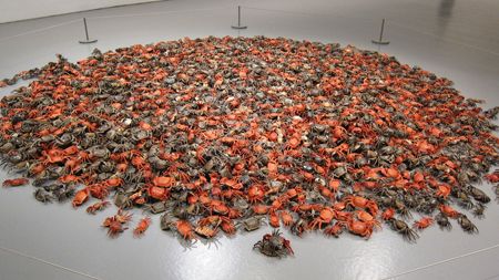 Ceramic Crabs by Ai WeiWei