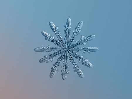 Snowflake Photograph be Alexey Kljator