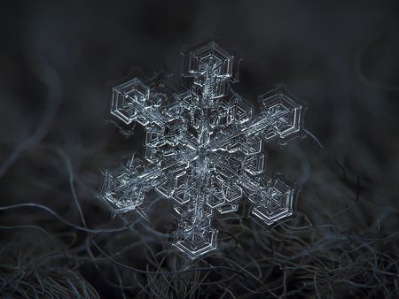 Snowflake Photograph be Alexey Kljator