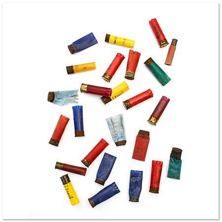 Shotgun Shells, Pinelands by Barry Rosenthal