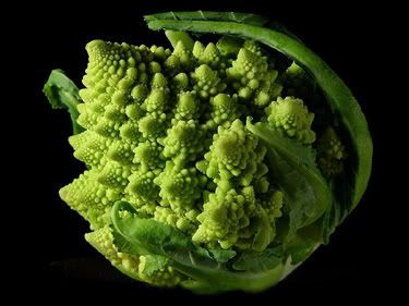 Broccoli by God