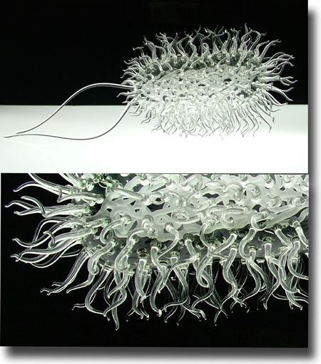 E coli (including detail) by Luke Jerram