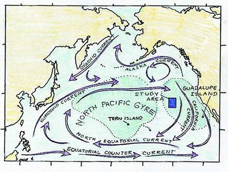 Map of the Gyre