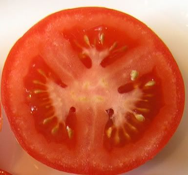 Open Tomato