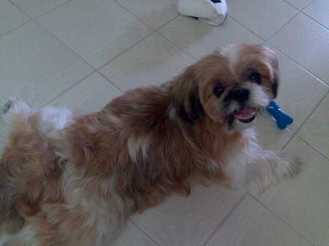 Photobucket - Video and Image Hosting