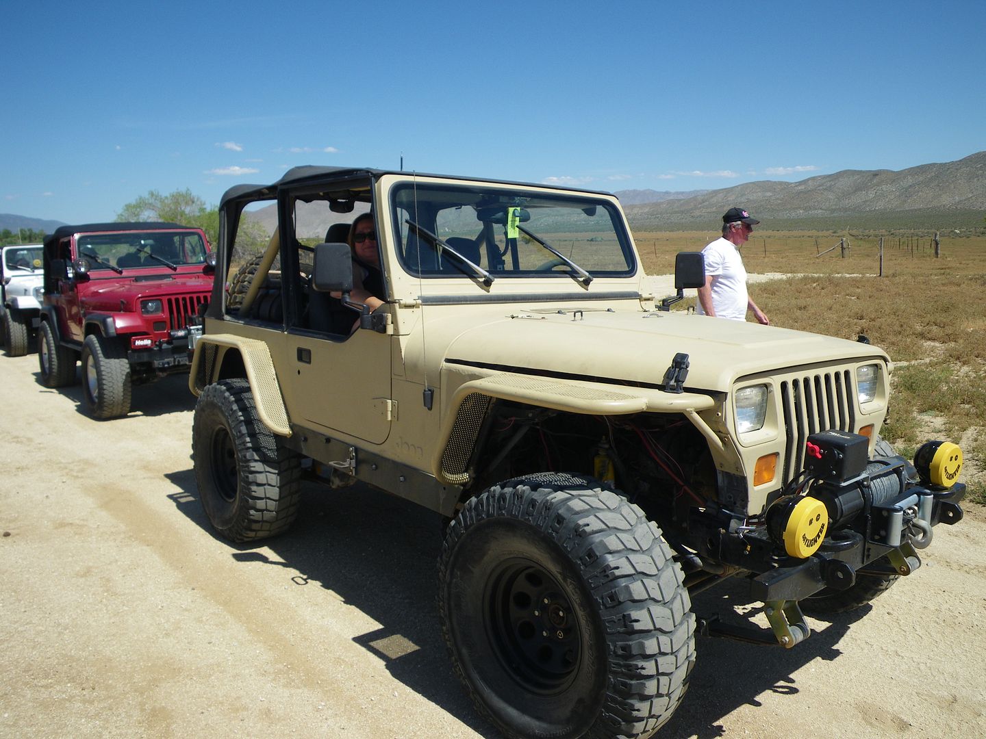 Tan Yj