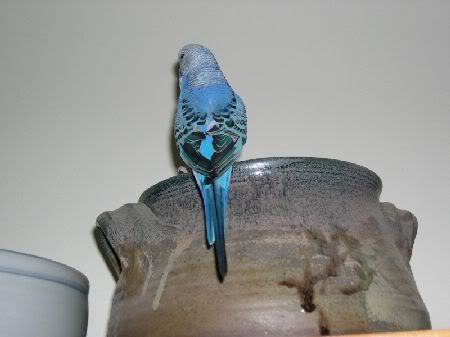 DSCN4356.jpg