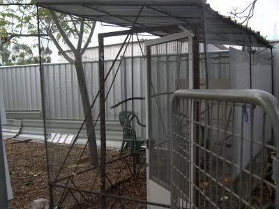 DSCN4889.jpg
