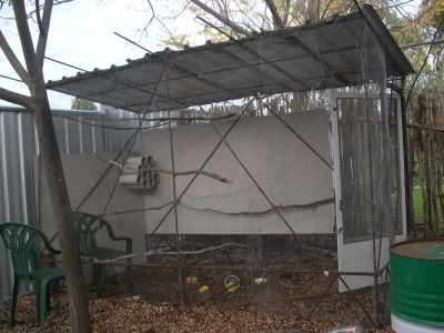 DSCN4890.jpg