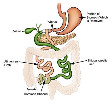 ds-anatomy_zpsc95da545.jpg