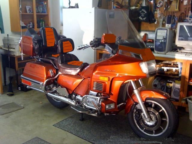 Other bikes that look like Gold Wings. - Steve Saunders 