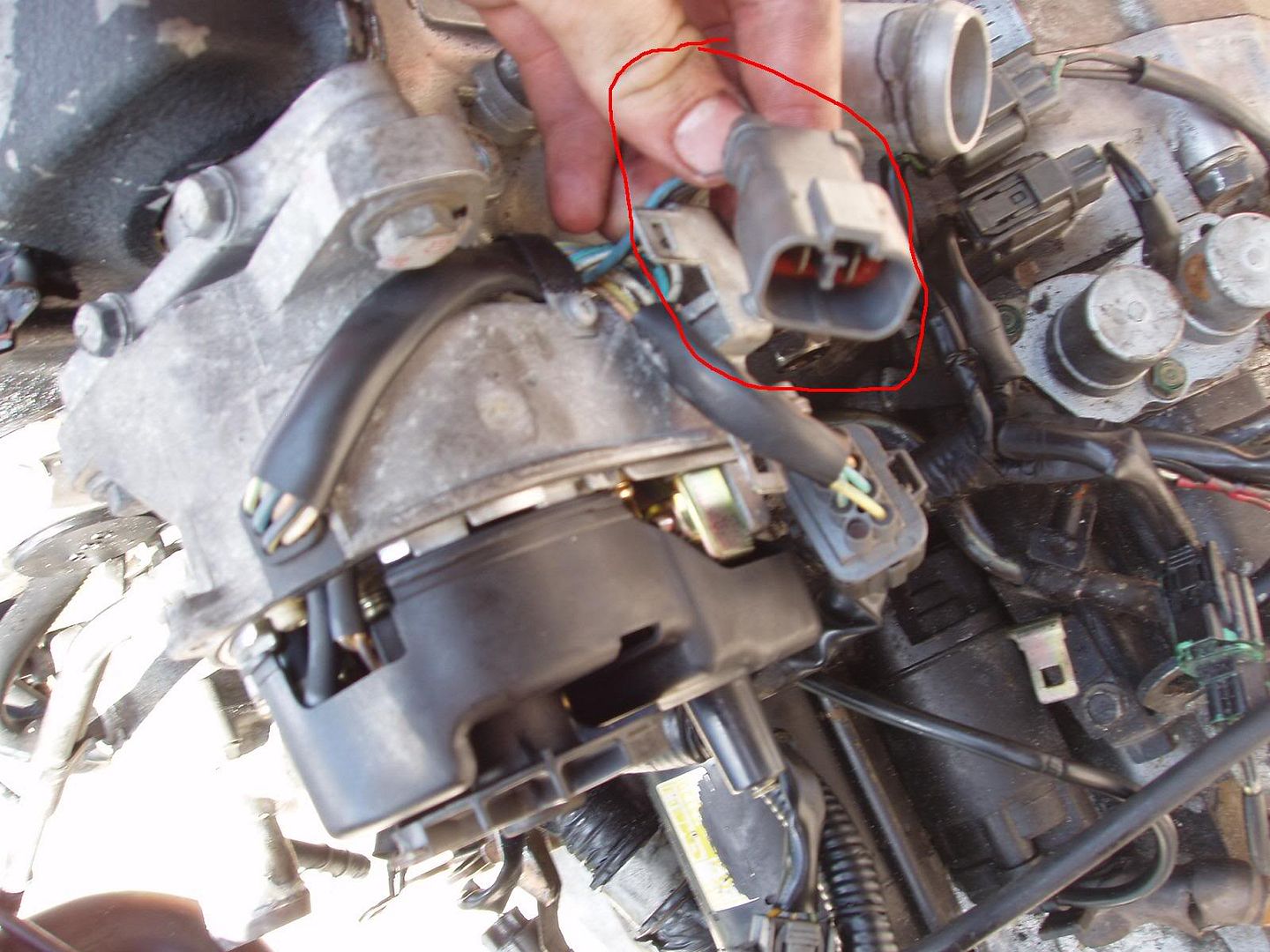 f22b WIRING help dizzy? - CB7Tuner Forums