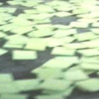 Soylent-Green.gif