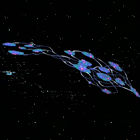 Beyond.gif
