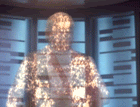 Scotty.gif