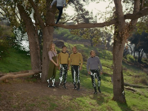 SpockBooksOnTree.gif