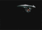 sombrero-loses2.gif