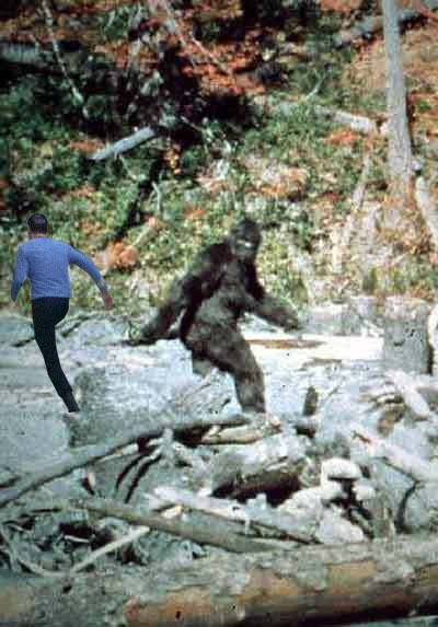 spockfoot.jpg