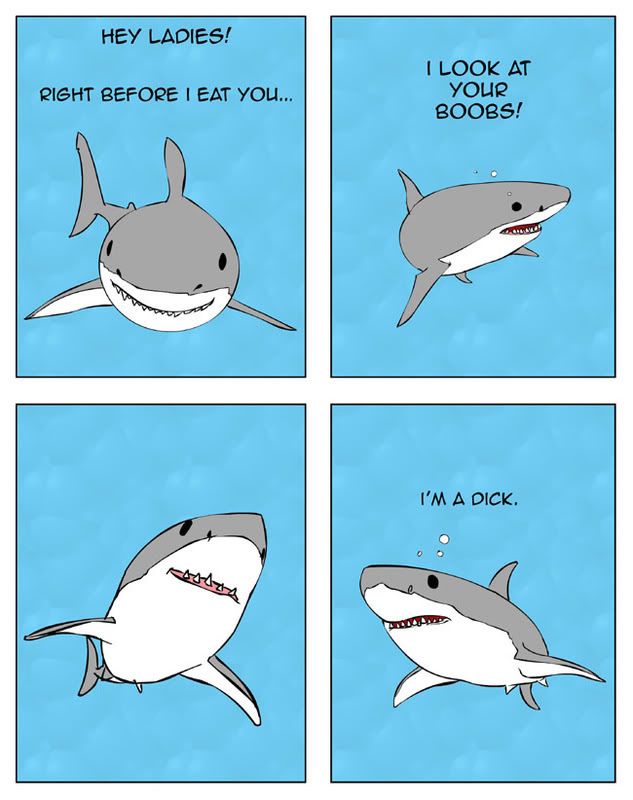 badshark.jpg