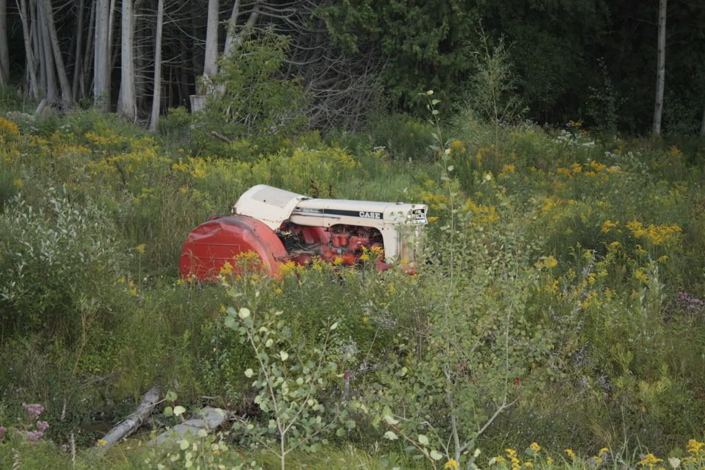 IMAGE: http://i3.photobucket.com/albums/y98/Docpeplvr/Tractors/_MG_0278.jpg