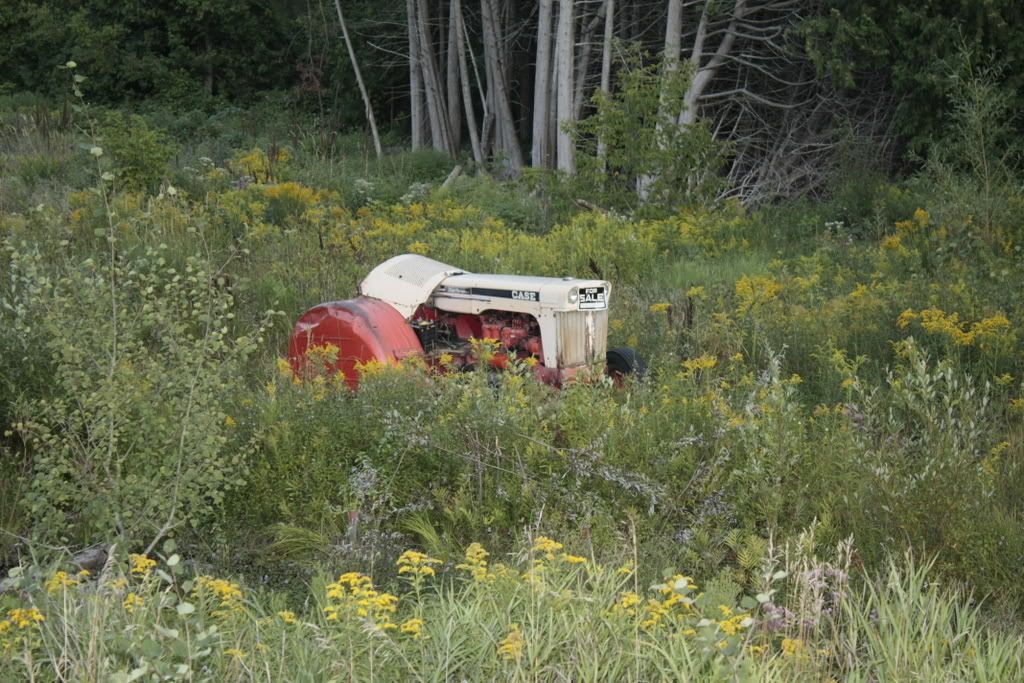 IMAGE: http://i3.photobucket.com/albums/y98/Docpeplvr/Tractors/_MG_0280.jpg