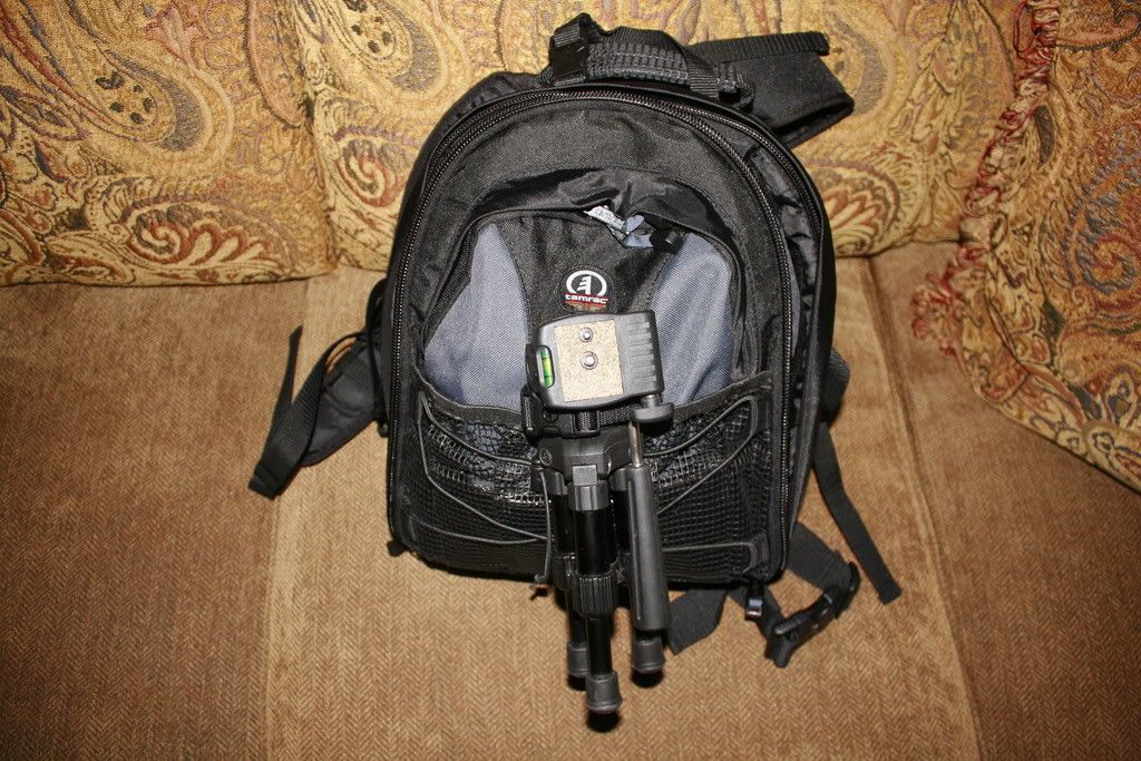 IMAGE: http://i3.photobucket.com/albums/y98/Docpeplvr/_MG_1692.jpg