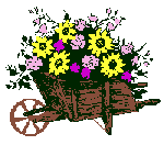 <a href=