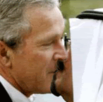 http://i3.photobucket.com/albums/y99/ElaineSupkis/clnfeb/Bush-kissing-Saudi-small.gif