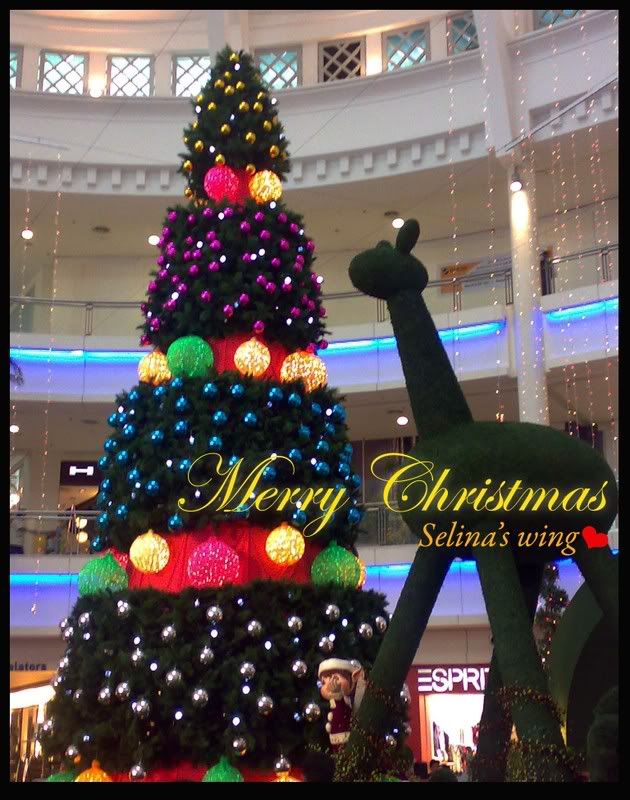 xmas2