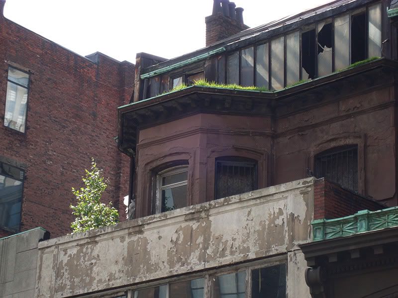 392_boylston_roof.jpg