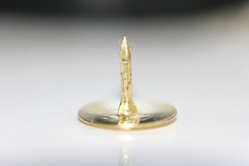 IMAGE: http://i3.photobucket.com/albums/y99/picardo/IMG_4513.jpg