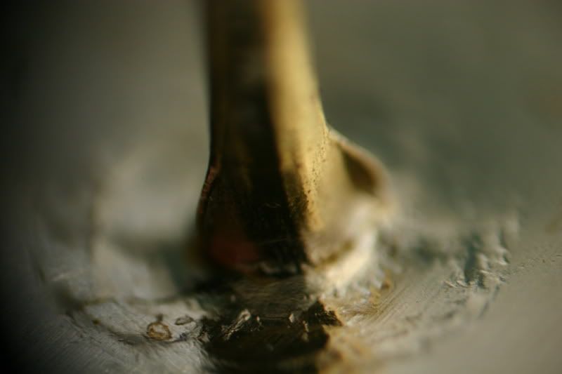 IMAGE: http://i3.photobucket.com/albums/y99/picardo/IMG_4514.jpg