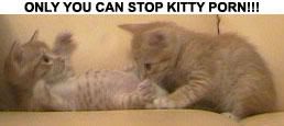 Only YOU can stop Kitty Porn!
