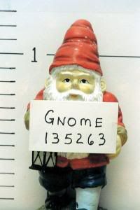 Gnome mugshot