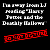Reading Deathly Hallows