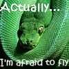 Afraid to fly snake