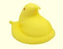 yellow peep