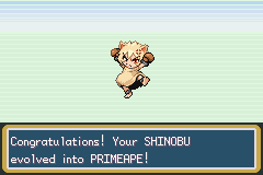 [PokeCommunity.com] THE OFFICIAL NUZLOCKE CHALLENGE THREAD