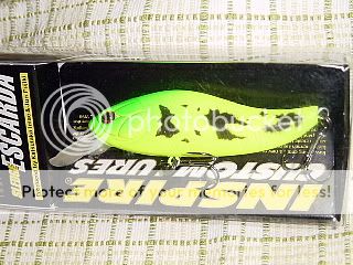 Evergreen Inspire Sledge Escarda 187 Spoted Mat Lime  