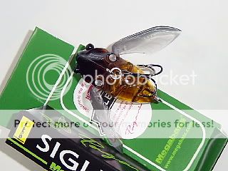 Megabass Cicada Lure Pagani Siglett 04 Abura Zemi  