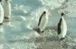 Image hosting by Photobucket