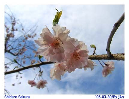 Image hosting by Photobucket
