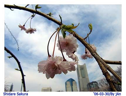 Image hosting by Photobucket
