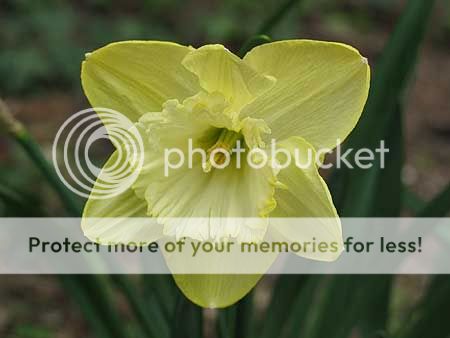 Image hosting by Photobucket