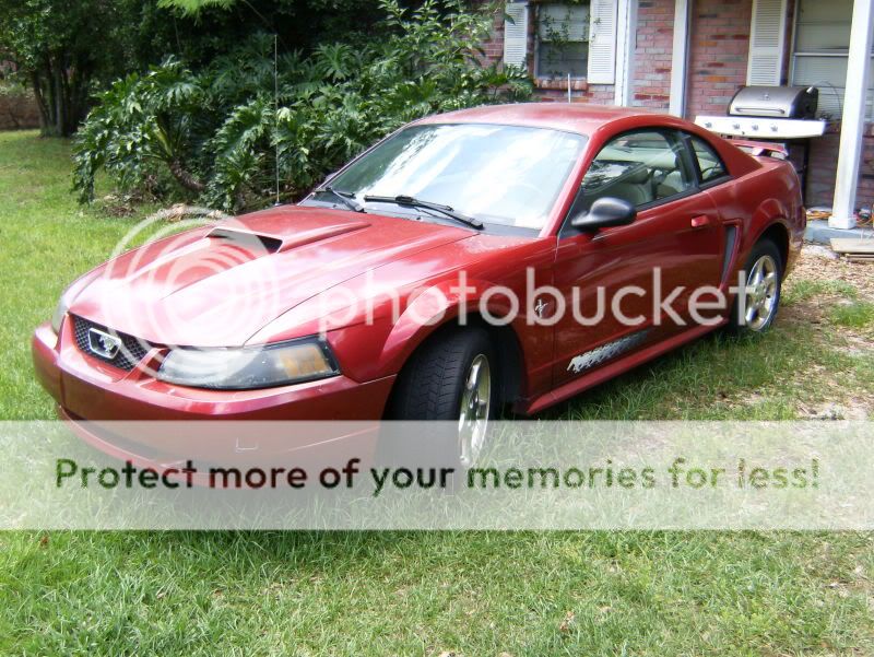 2003 Ford mustang pony edition #6