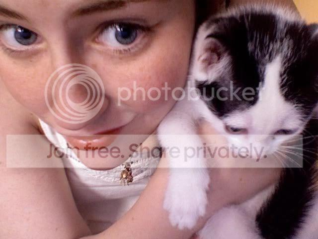 Photo Sharing and Video Hosting at Photobucket