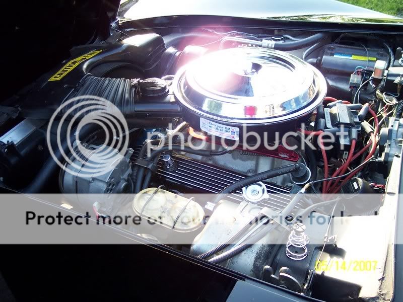 1981 Engine Wiring Harness Question - CorvetteForum - Chevrolet