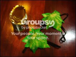 Image hosted by Photobucket.com