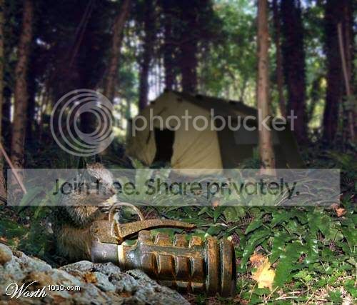animalsattack1.jpg